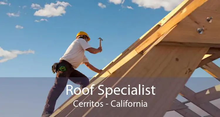 Roof Specialist Cerritos - California