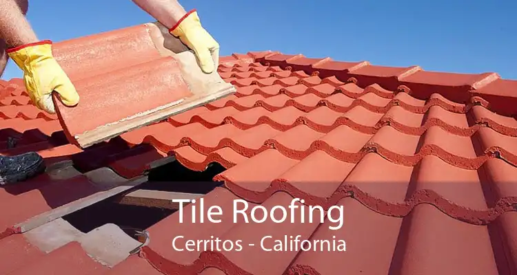 Tile Roofing Cerritos - California