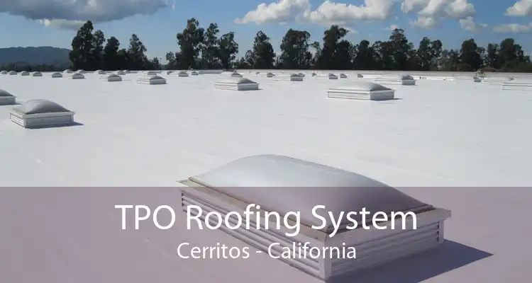 TPO Roofing System Cerritos - California